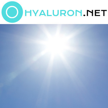 Hyaluronsäure Wirkung Detail